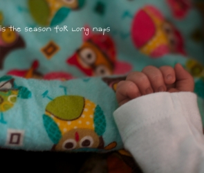 \'Tis the Season for Naps