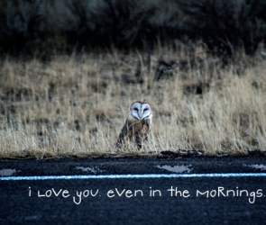 I Love You. Even in the Mornings.