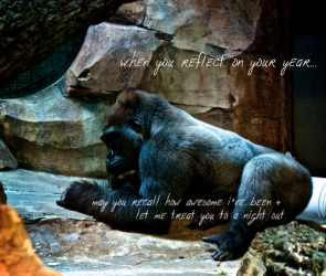 newyear-gorilla