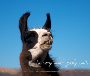 smiles-llama