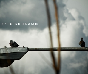 Let's Sit on it a While