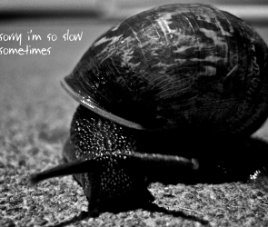 Sorry I'm so Slow Sometimes.