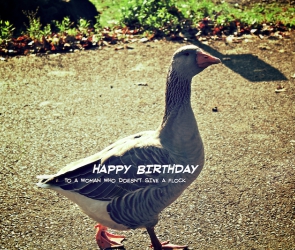 Happy Birthday to a Woman Who Doesn't Give a Flock